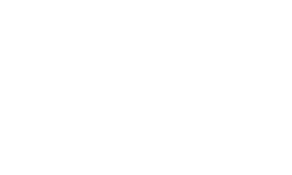 6 6