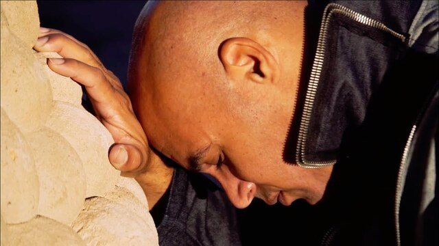 Peter Harper Survivre